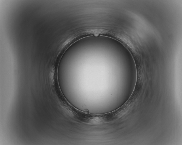 X0000116660111200912141328