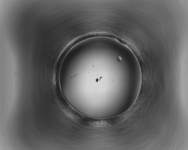 X0000116660112200912141328