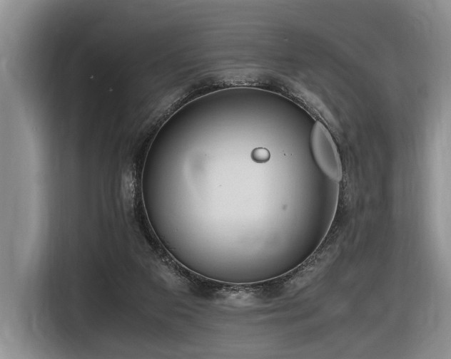 X0000116660113200912141328