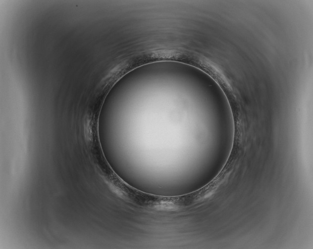 X0000116660114200912141328