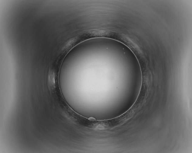 X0000116660115200912141328