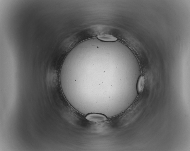 X0000116660121200912141328