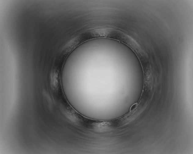 X0000116660122200912141328