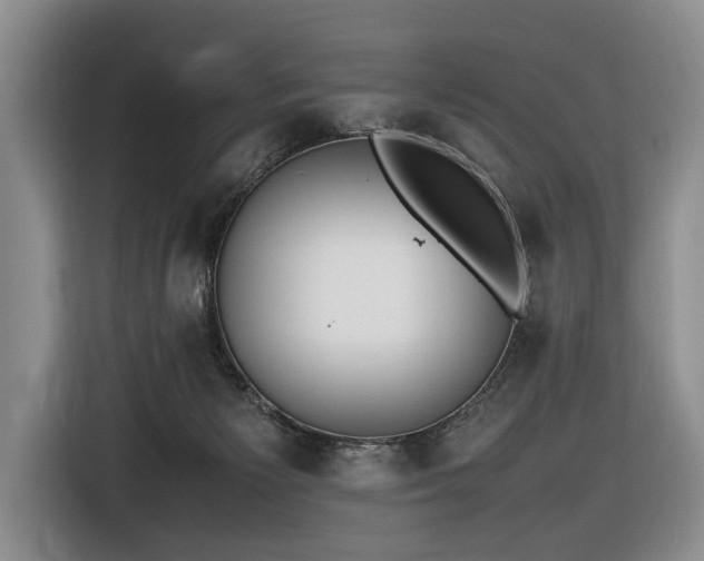 X0000116660125200912141328