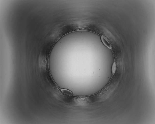 X0000116660129200912141328