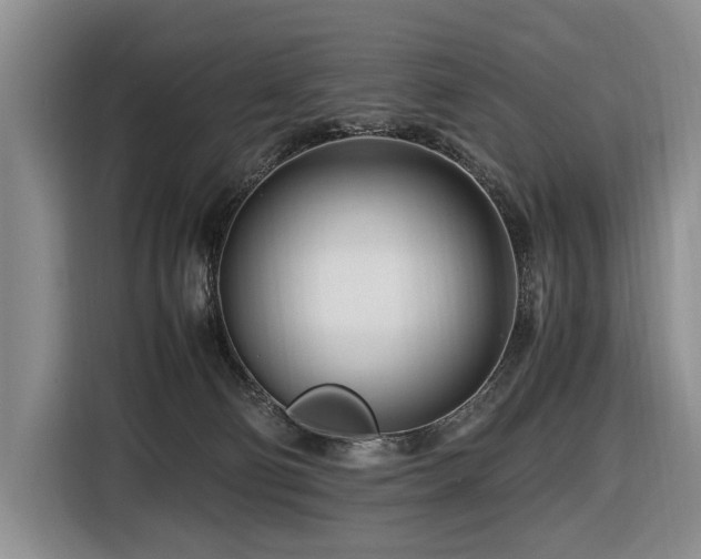 X0000116660130200912141328