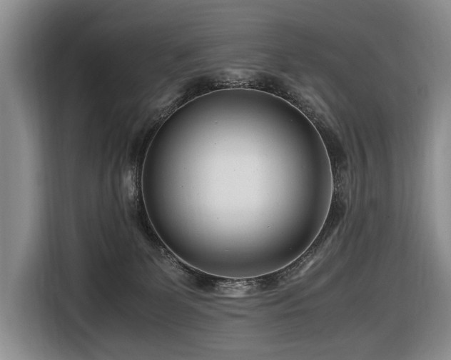 X0000116660131200912141328