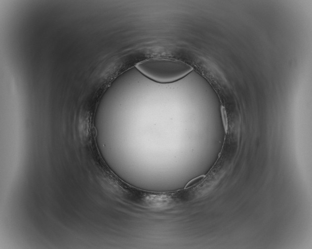 X0000116660133200912141328