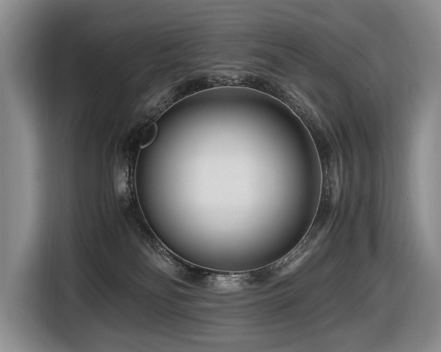 X0000116660134200912141328