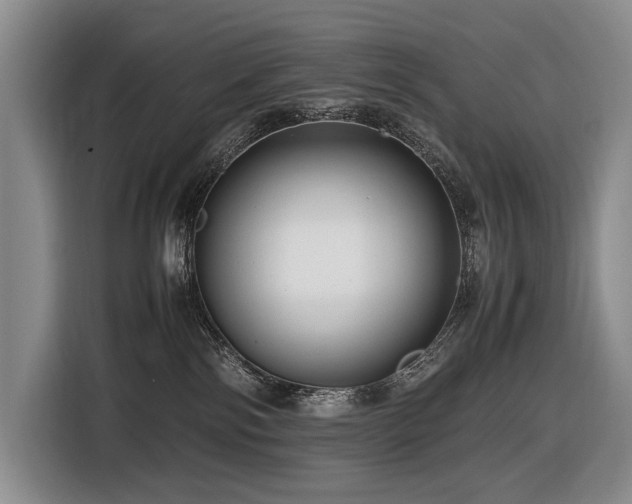 X0000116660138200912141328