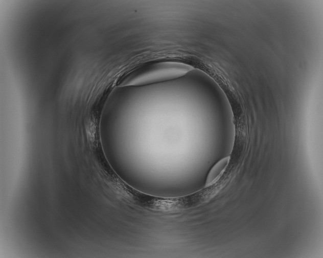 X0000116660139200912141328