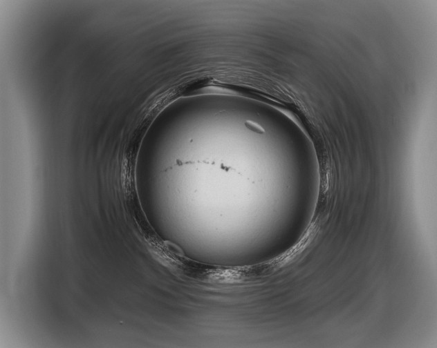 X0000116660140200912141328