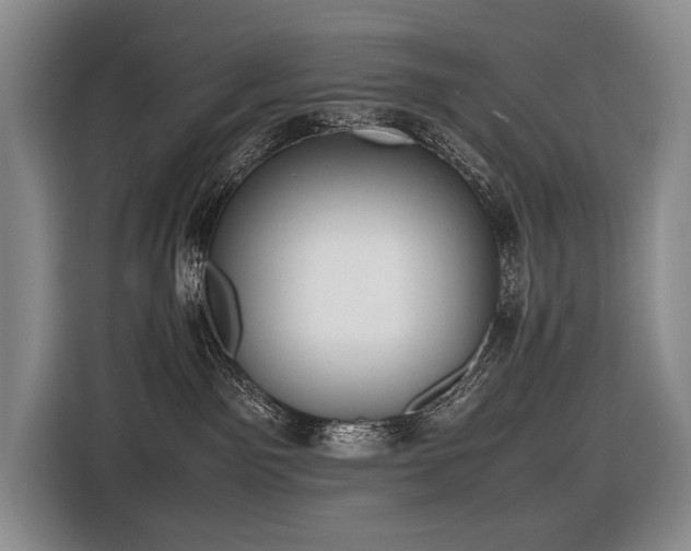 X0000116660141200912141328