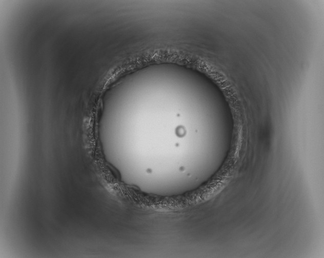 X0000116660144200912141328