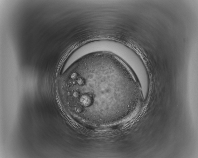 X0000116660145200912141327