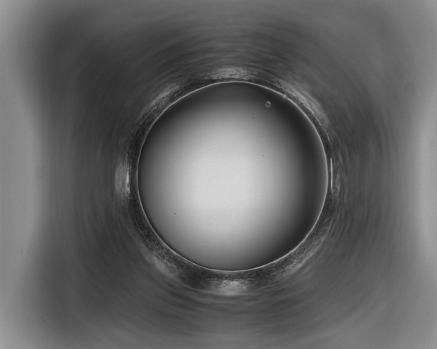 X0000116660157200912141327