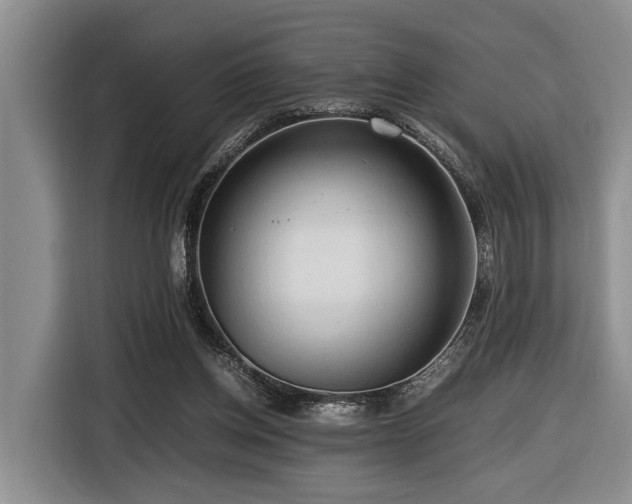 X0000116660158200912141327