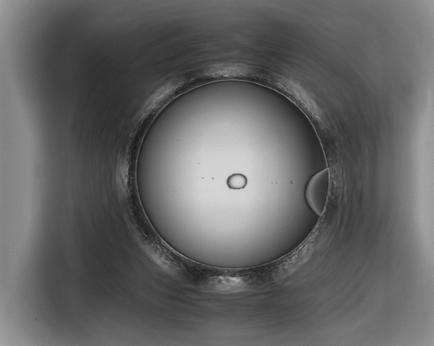 X0000116660159200912141327