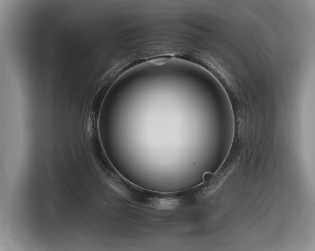 X0000116660165200912141327