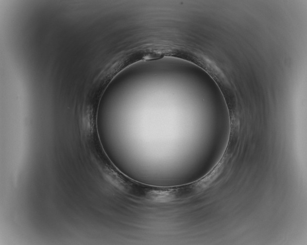 X0000116660170200912141328