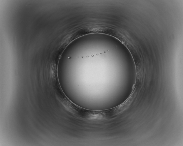 X0000116660175200912141328