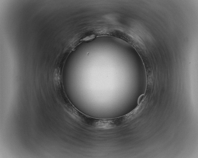 X0000116660179200912141328