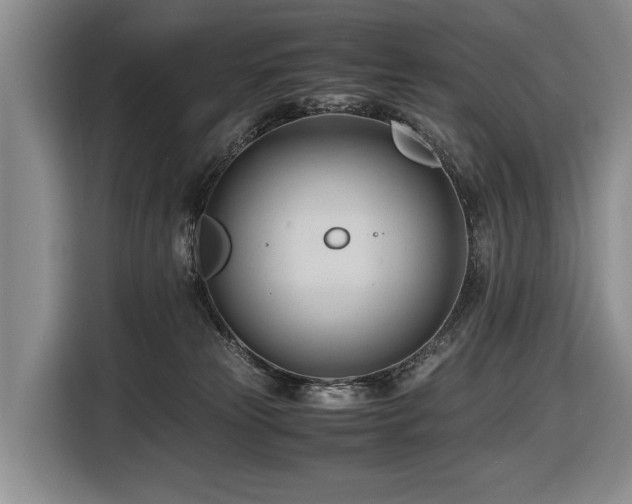 X0000116660181200912141328