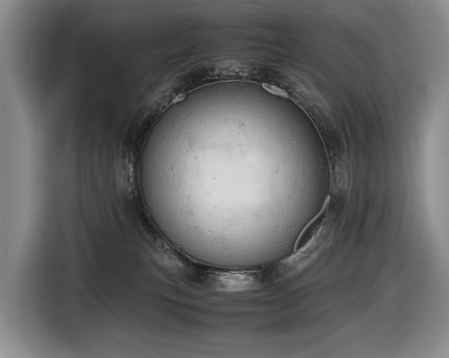 X0000116660183200912141328