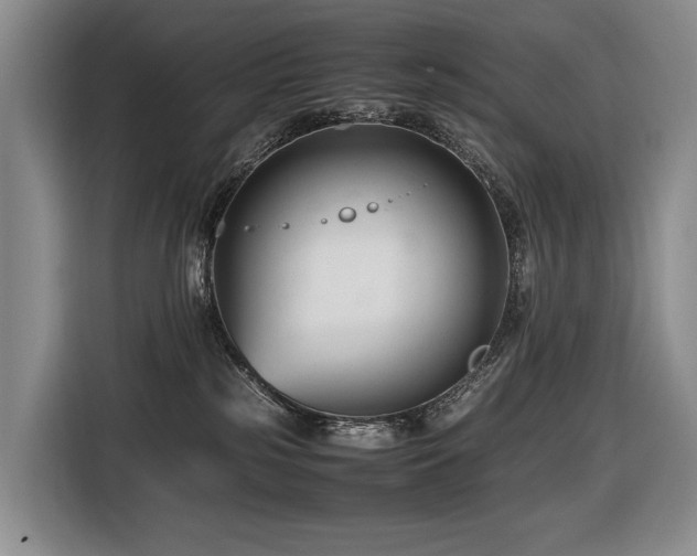 X0000116660185200912141328