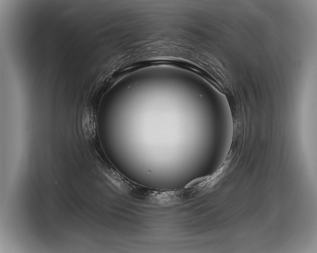 X0000116660186200912141328