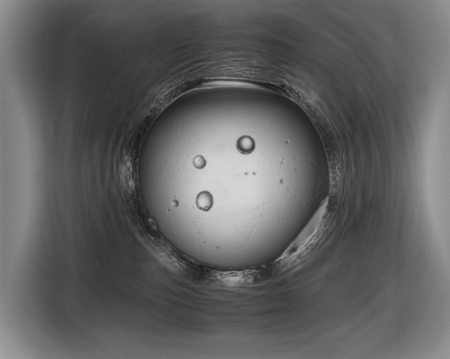 X0000116660187200912141328