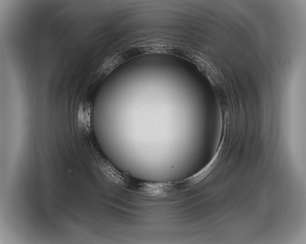 X0000116660190200912141328