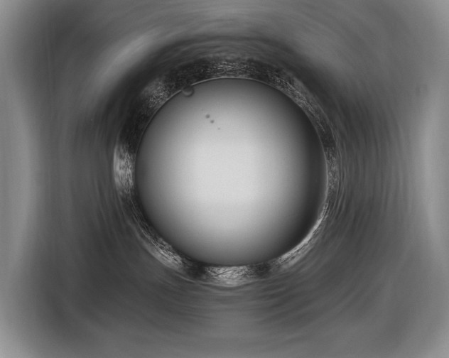 X0000116660191200912141328