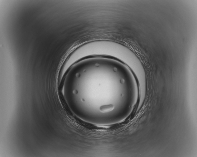 X0000116660195200912141327