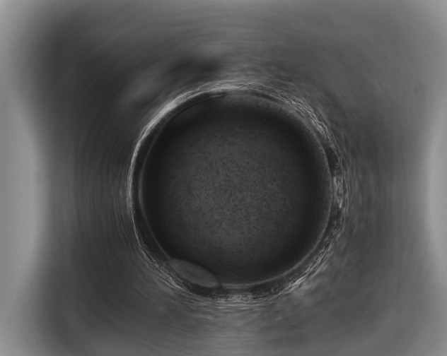 X0000116660196200912141327