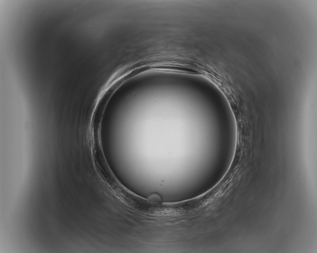 X0000116660198200912141327