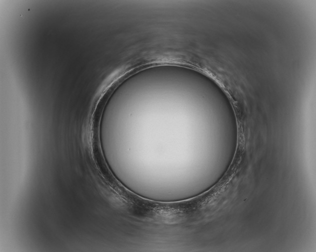 X0000116660199200912141327