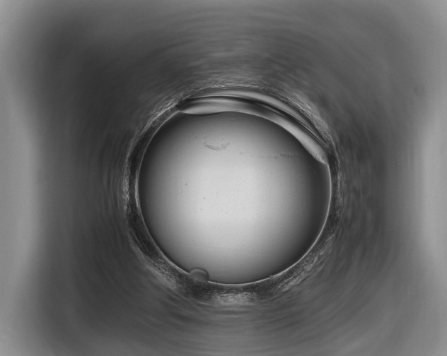 X0000116660202200912141327