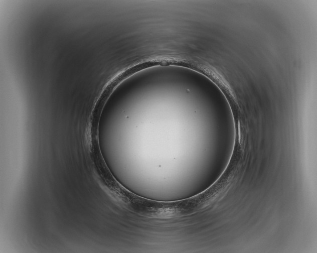 X0000116660204200912141327