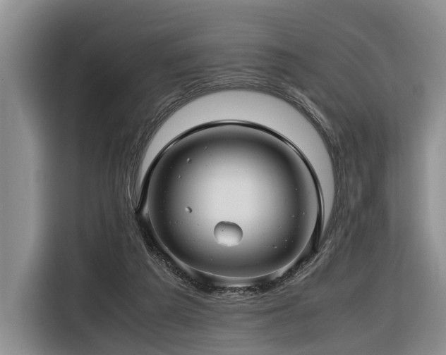 X0000116660209200912141327