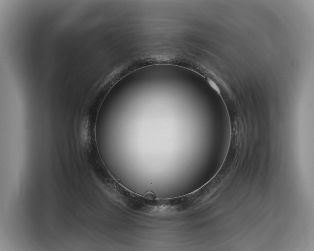 X0000116660212200912141327