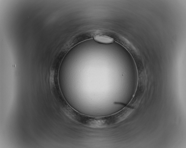 X0000116660217200912141327