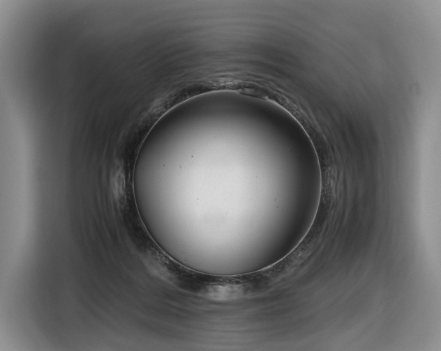 X0000116660220200912141327