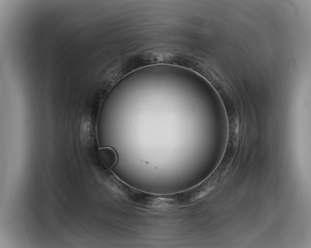 X0000116660222200912141327