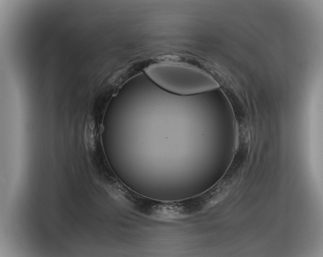 X0000116660223200912141327