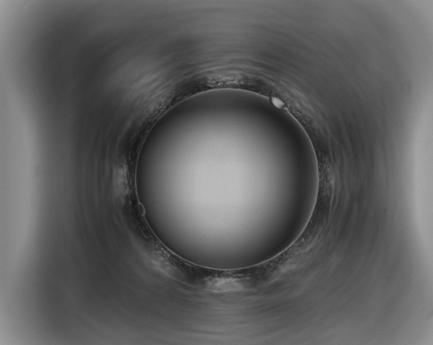 X0000116660224200912141327