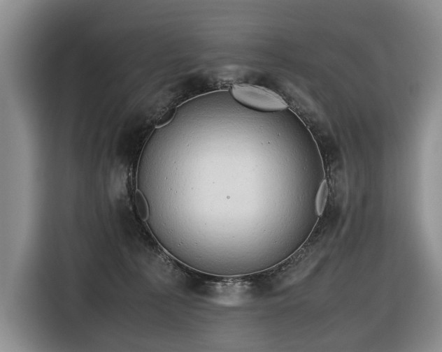 X0000116660225200912141327