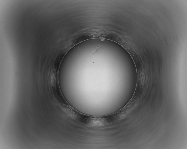 X0000116660226200912141327