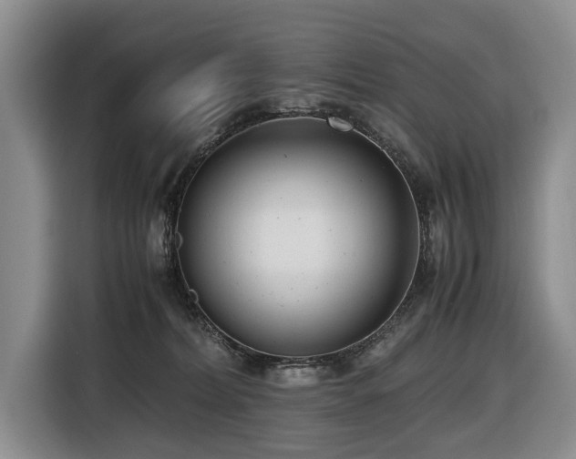 X0000116660228200912141327