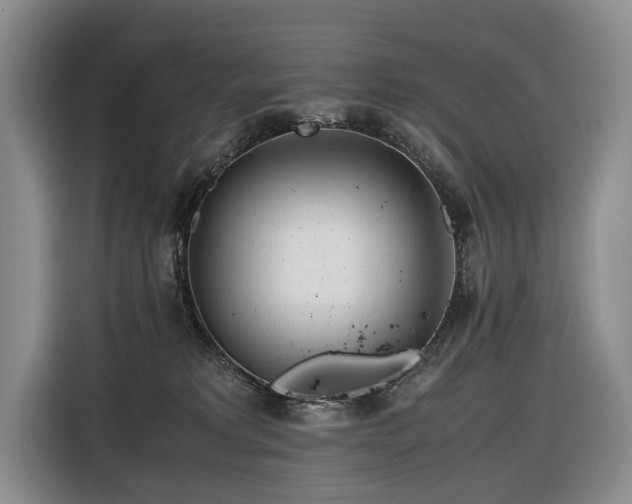 X0000116660229200912141327